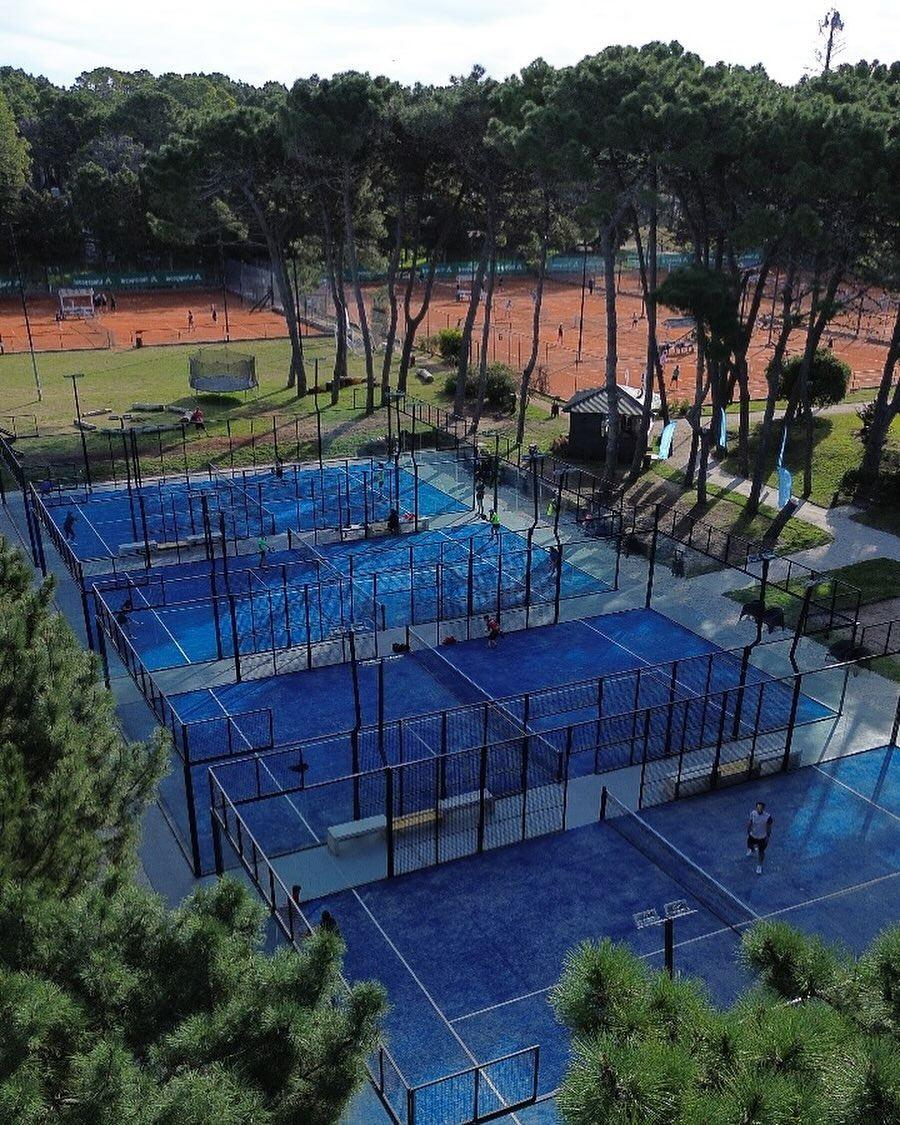 Canchas de pádel azules entre pinos, vista aérea