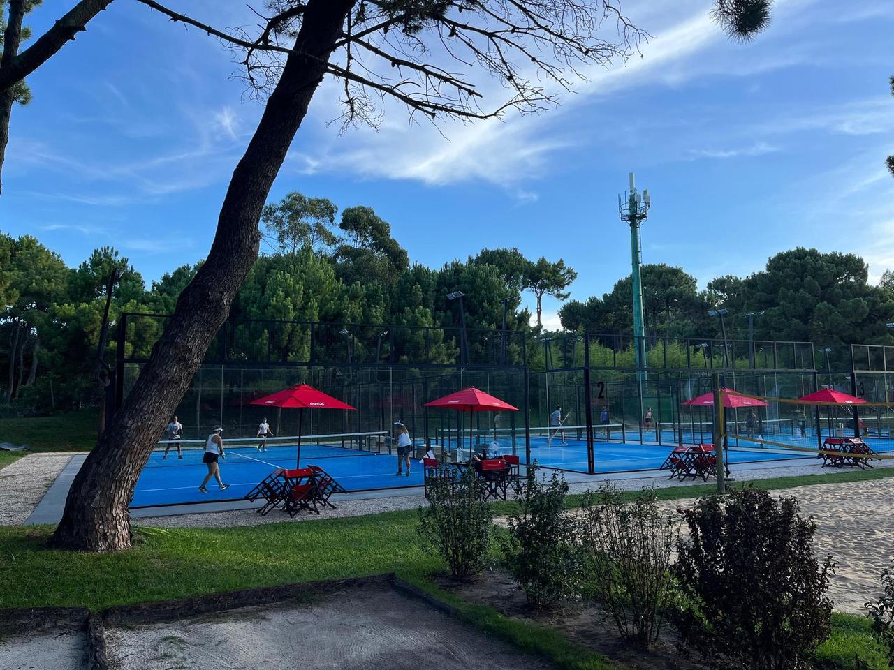 Cancha de pádel azul junto a la arboleda